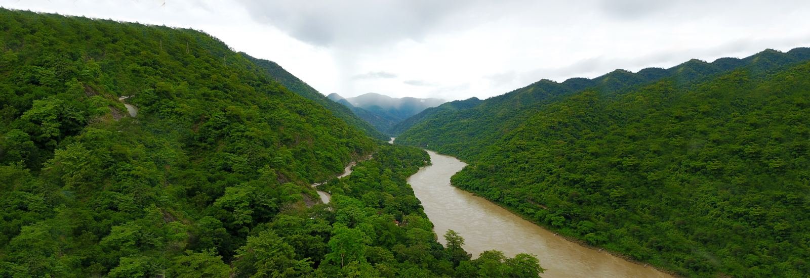 A river running through a forested valley
